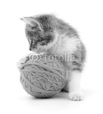 Cat with ball of yarn
