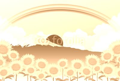 ひまわり　夏　風景　背景