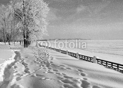 Winter nature,