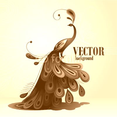 Peacock. Vector background