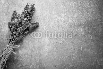 lavender on stone