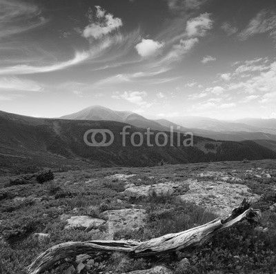 Mountain landscape in summer