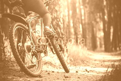 cyclist riding mountain bike in the forest