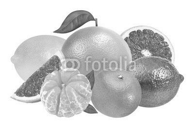 Citrus Fruit Set (tangerine, grapefruit, lime, lemon) isolated o