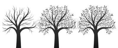 Four seasons trees on white background vector