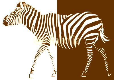 Zèbre pop art mi noir, mi blanc