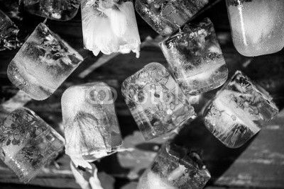 Frozen Flowers in Ice Cubes on Rustic Wooden Background