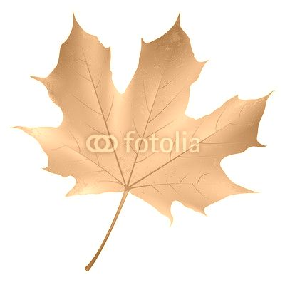 Ahornblatt - Herbst