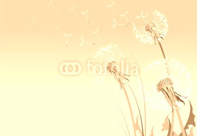 Dandelions Illustration
