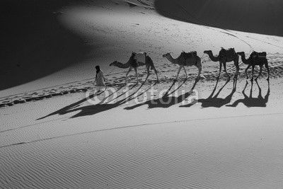 Desert Sahara, Camel Ride Caravan, Enjoying and happy People