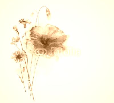 Floral bouquet with poppy and cornflowers