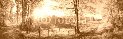 Zauberhafte Landschaft im Herbst: sonniges Panorama von ländlicher Idylle