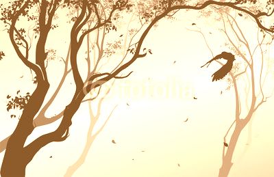 landscape with a flying owl