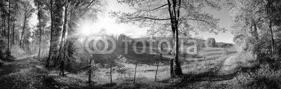 Zauberhafte Landschaft im Herbst: sonniges Panorama von ländlicher Idylle