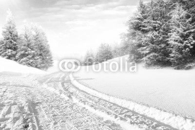winter road and snow with frost 