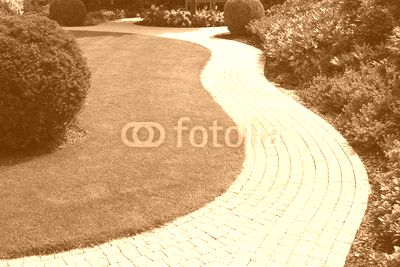 Beautiful lawn and path