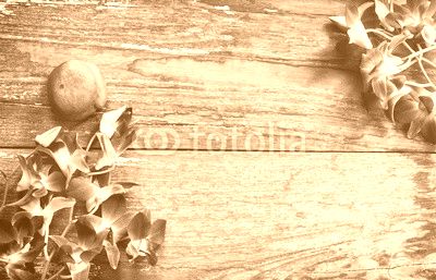 Orchid flower on wood