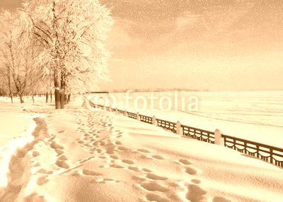 Winter nature,