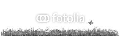 HERBE PRINTEMPS