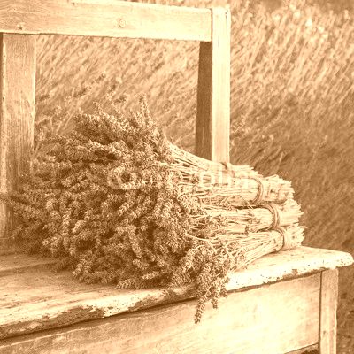 Bouquets on lavenders on a old bench