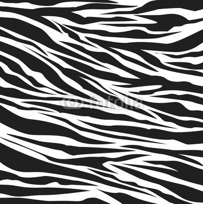 zebra pattern
