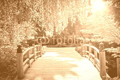 Scenic Garden Bridge