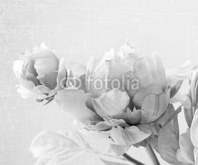 peony flowers