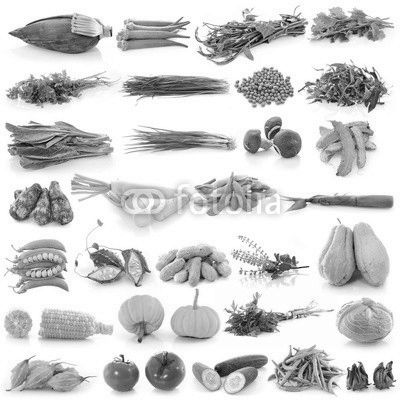 vegetable on white background
