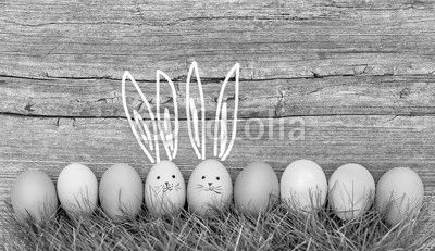 Easter eggs cute bunnies. Funny decoration