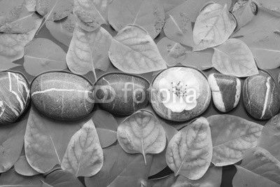 Striped stones and leaf in water on a wet  background