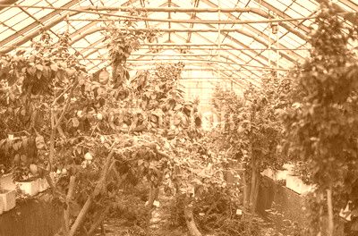 Ogród botaniczny