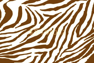 Zebra Pattern Vector