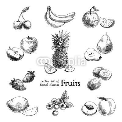 Vector set of hand drawn vintage  fruits and berries.