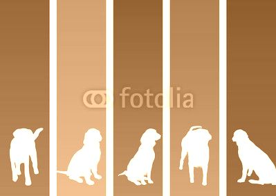 colourful dog banners