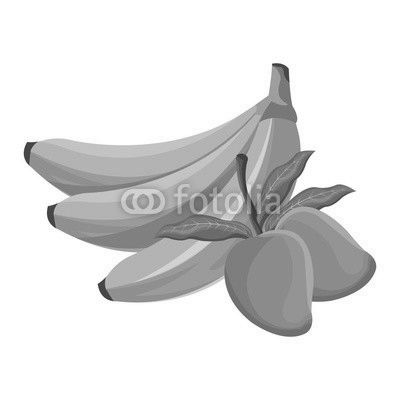 banana and mango fruit tropical food vector illustration eps 10