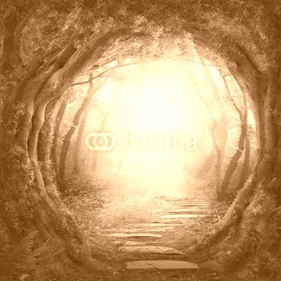 Road in dark forest