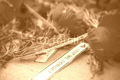 Anzac day remembrance day poppy