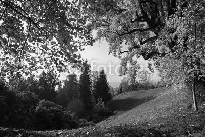 Autunno
