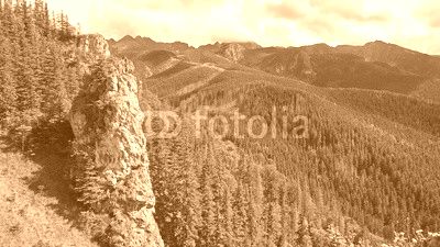 Mountain landscape with a stone cliff and forest. View from Mount Nosal, Tatry, Poland