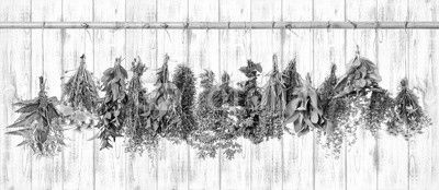 Medicinal herbs. Herbal apothecary. Lavender, dandelion, nettle