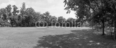 green grass field in big city park