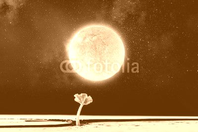 Is there life on moon . Mixed media