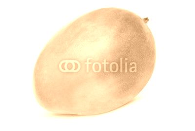 Mango isolated on white