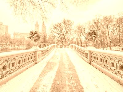 Bow bridge Central Park during snow storm