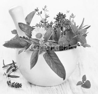 Herbs