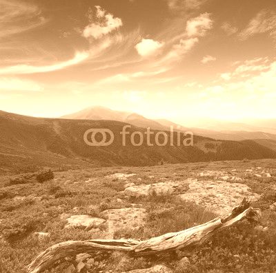 Mountain landscape in summer