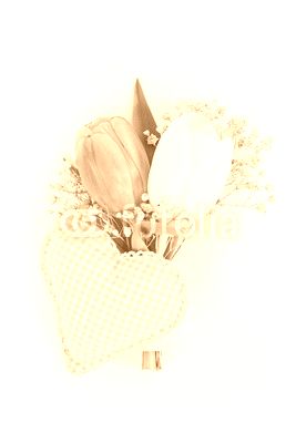 Tulpen