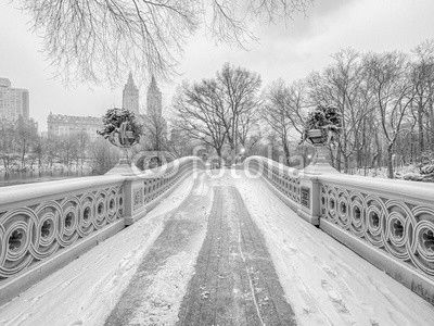 Bow bridge Central Park during snow storm