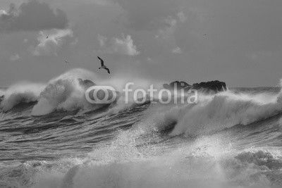 Sea storm with big breaking waves