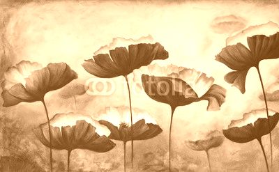 Painting poppies canvas